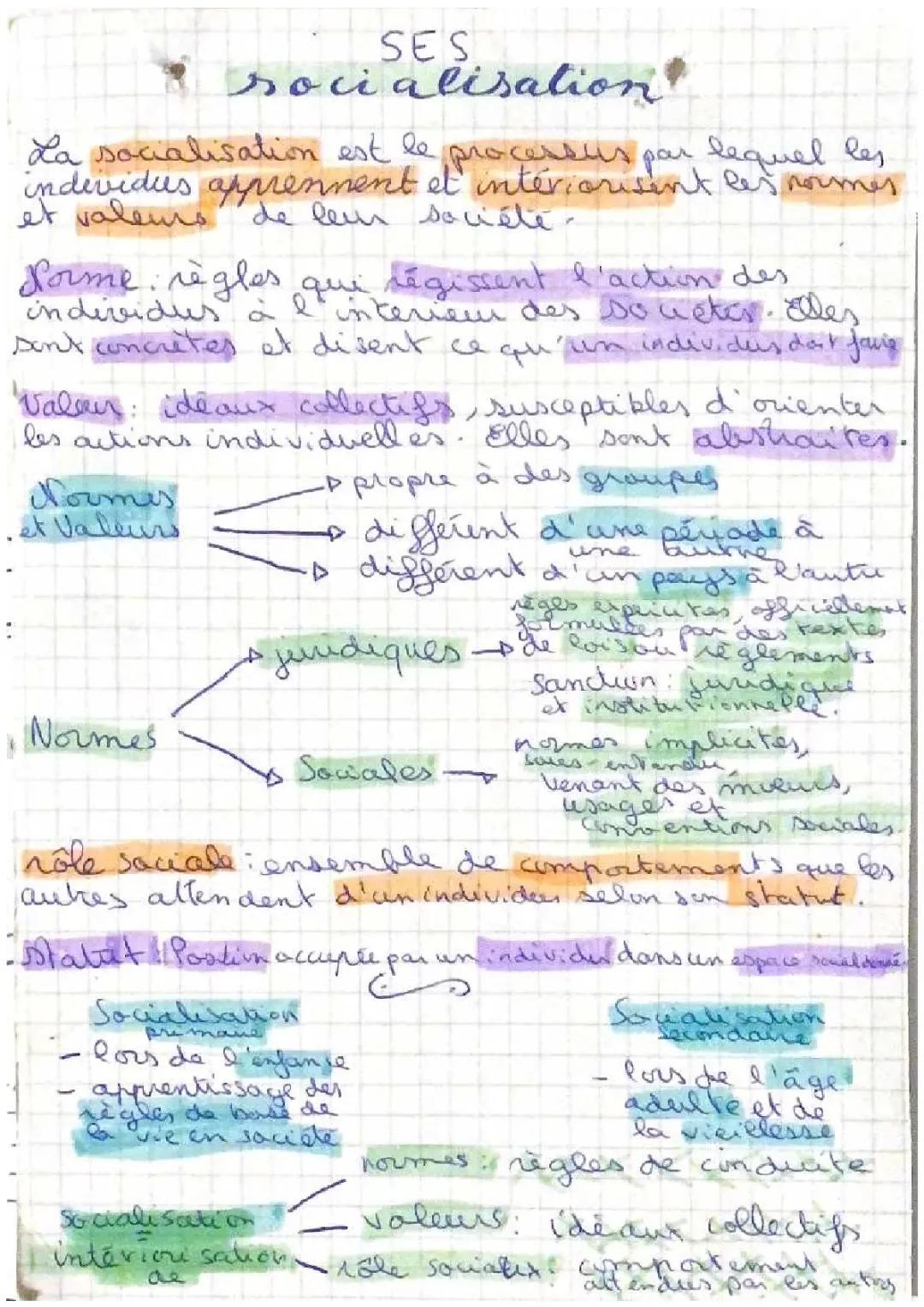 fiche SES socialisation 