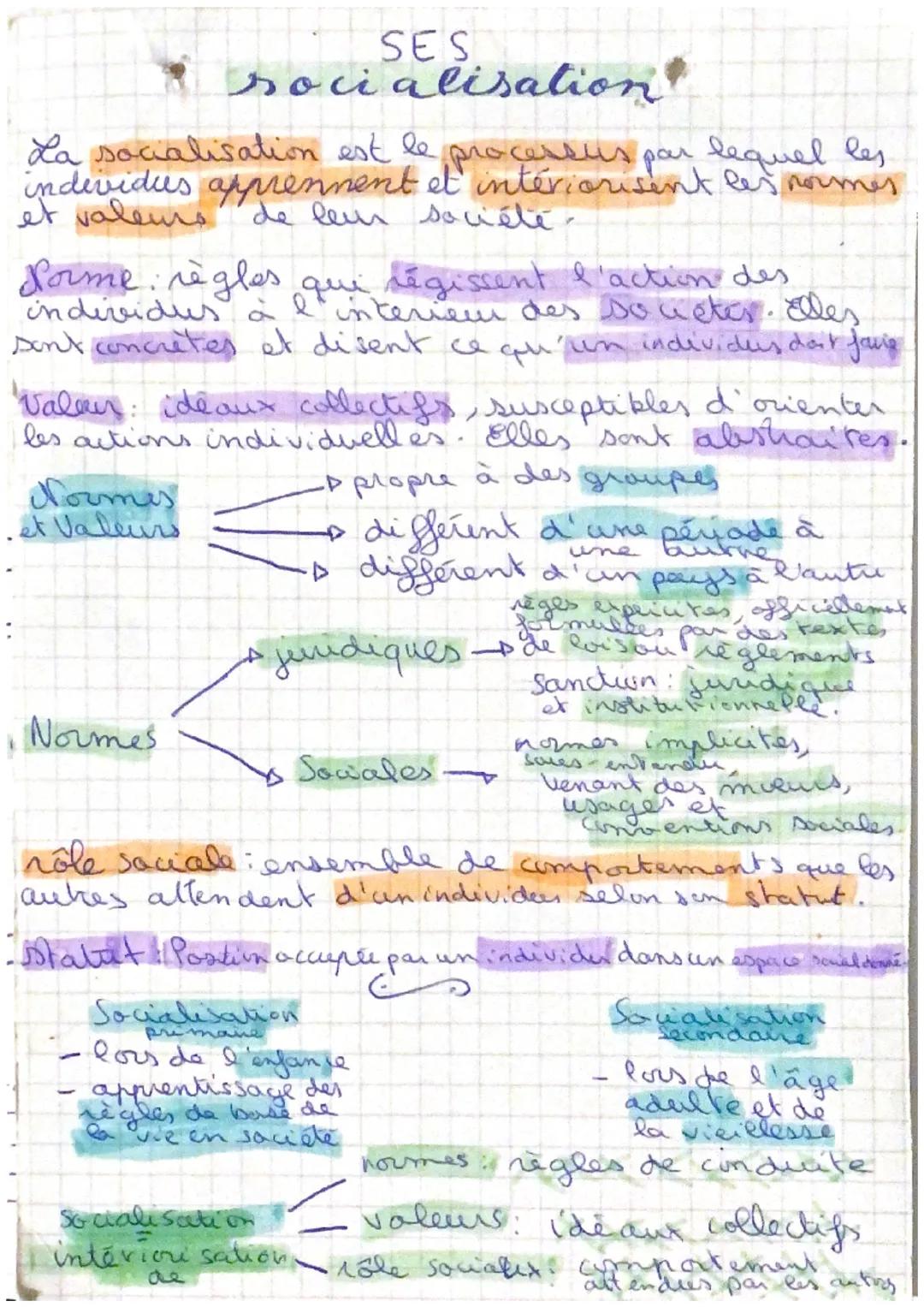 La socialisation est le processus par lequel les
individus apprennent et intériorisent les normes
et valeurs de leur société.
SES
socialisat