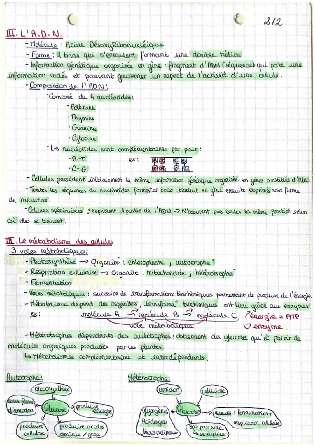 S.V.t.c
L'ORGANISATION FONCTIONNELLE DES ORGANISMES
CHAP.
Définitions!
-ORGANISHE UNICELLULAIRE! I individu
I cellule
•ORGANISHE PLURICELLUL