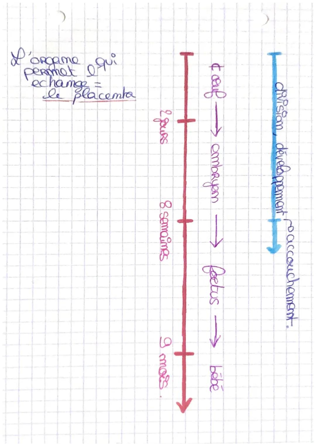 чез

SVT.

Molig
le cycle memshrul: Bravo!
- durée des Rédes ~ 5 Cours
- temps entre los regles ~ 28 jours.
C'est um saigmennemt la paroi de