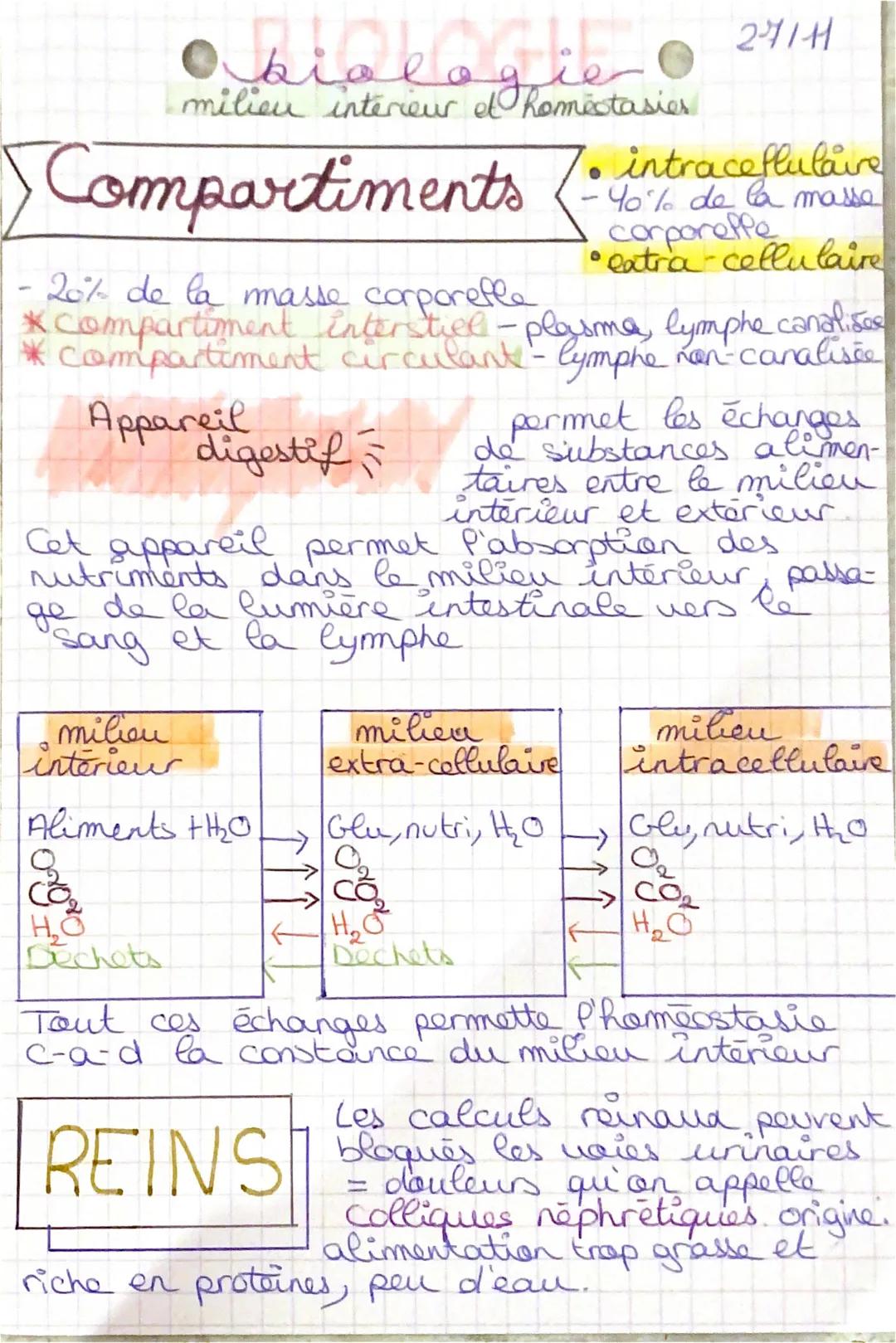 abiobooth
milieu interieur et homestasies
Compartiments (do de te
20% de la masse corporefle
*
compartiment
* compartiment
Appareil
digestif