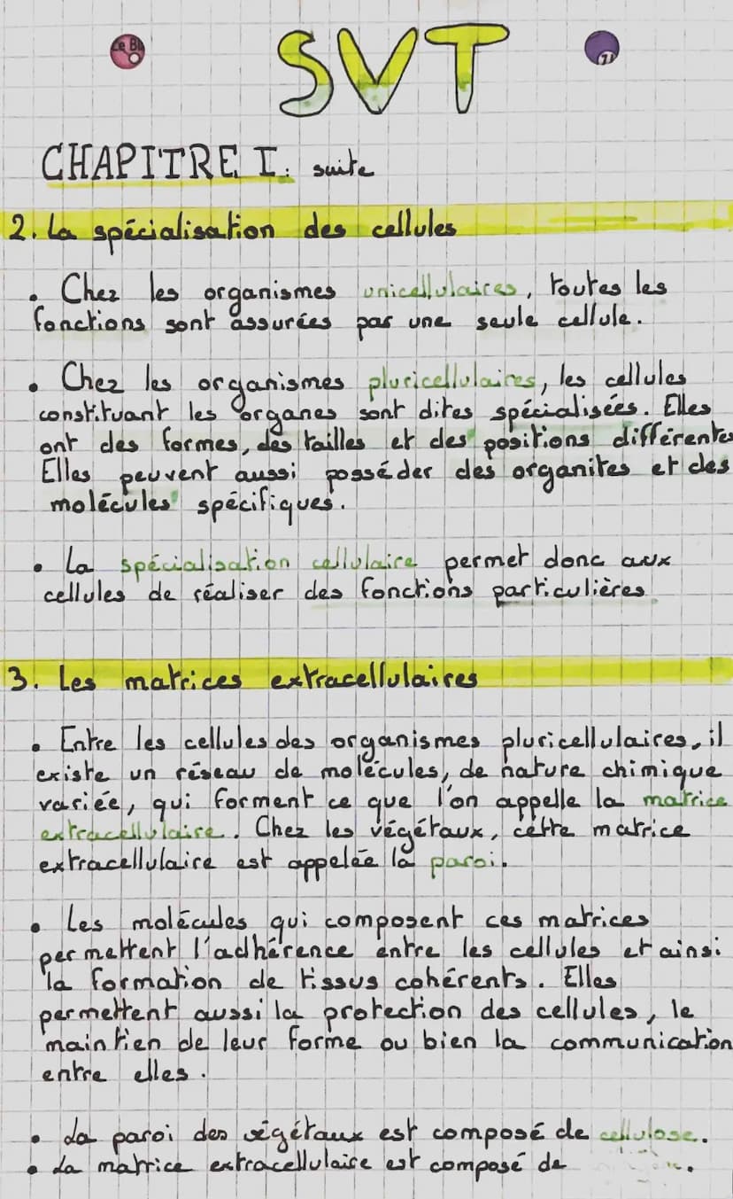 SVT.
CHAPITRE I: L'organisme pluricellulaire,
ensemble de cellules spécialisées.
1. Les échelles du vivant
On peut définis comme
atome -> mo
