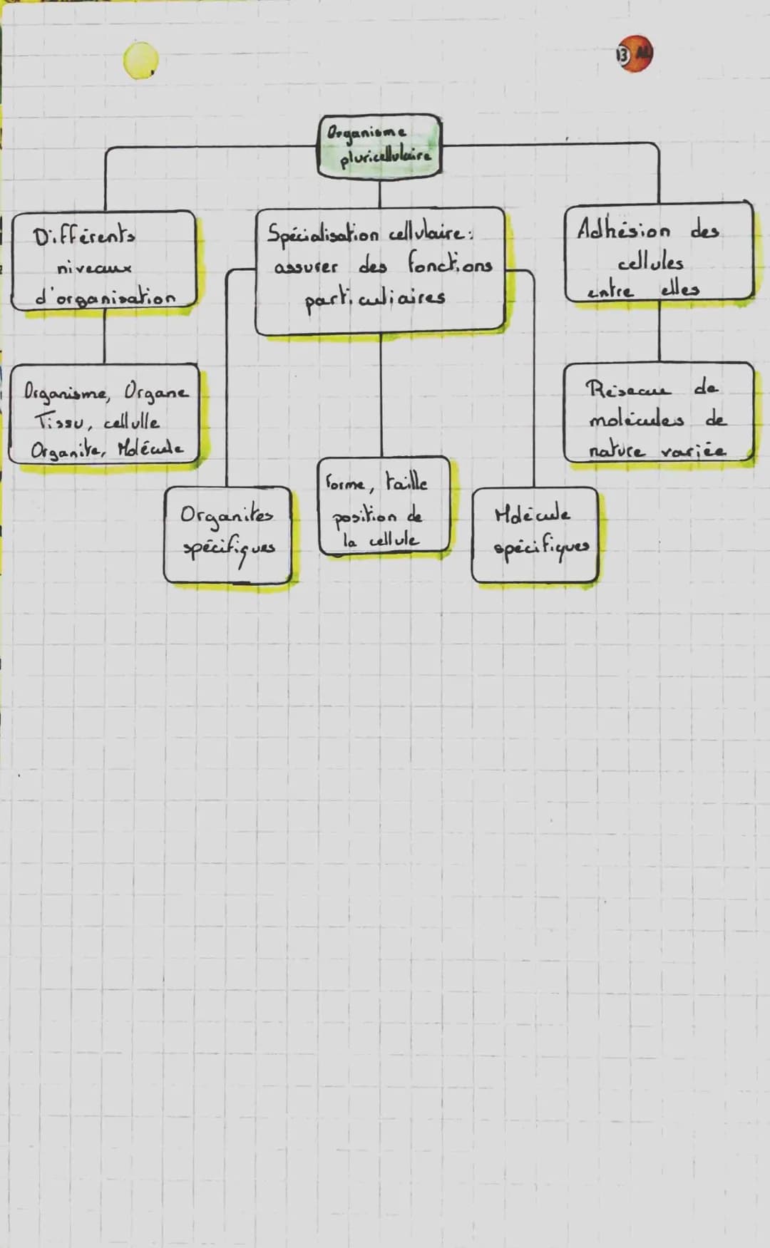 SVT.
CHAPITRE I: L'organisme pluricellulaire,
ensemble de cellules spécialisées.
1. Les échelles du vivant
On peut définis comme
atome -> mo