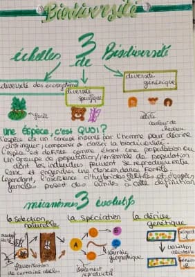 Know fiche de révision: la biodiversité thumbnail