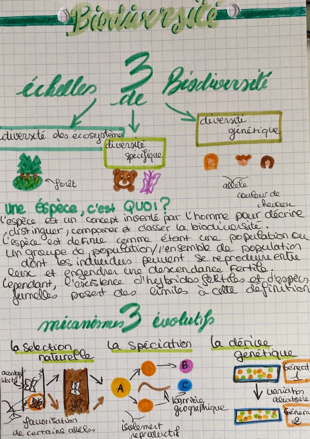 Bintivrsite
3
échelles
diversité des écosysteme
la Selection,
naturelle
А
avantag
Selectif
de
favorisation
de certains allèles
diversite
spe