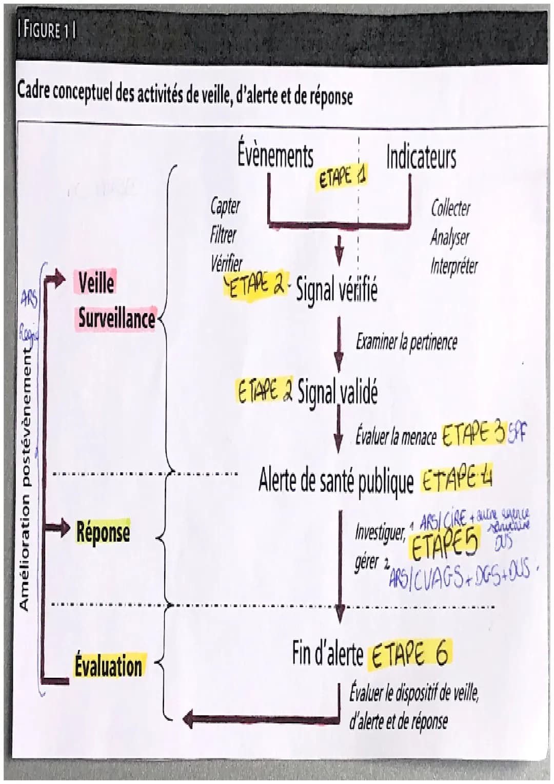 LA VEILLE SANITAIRE
•La veille sanitaine designe l' ensemble des actions
usant à reconnaitre la survenue d'un évenement
pawant présenter un 
