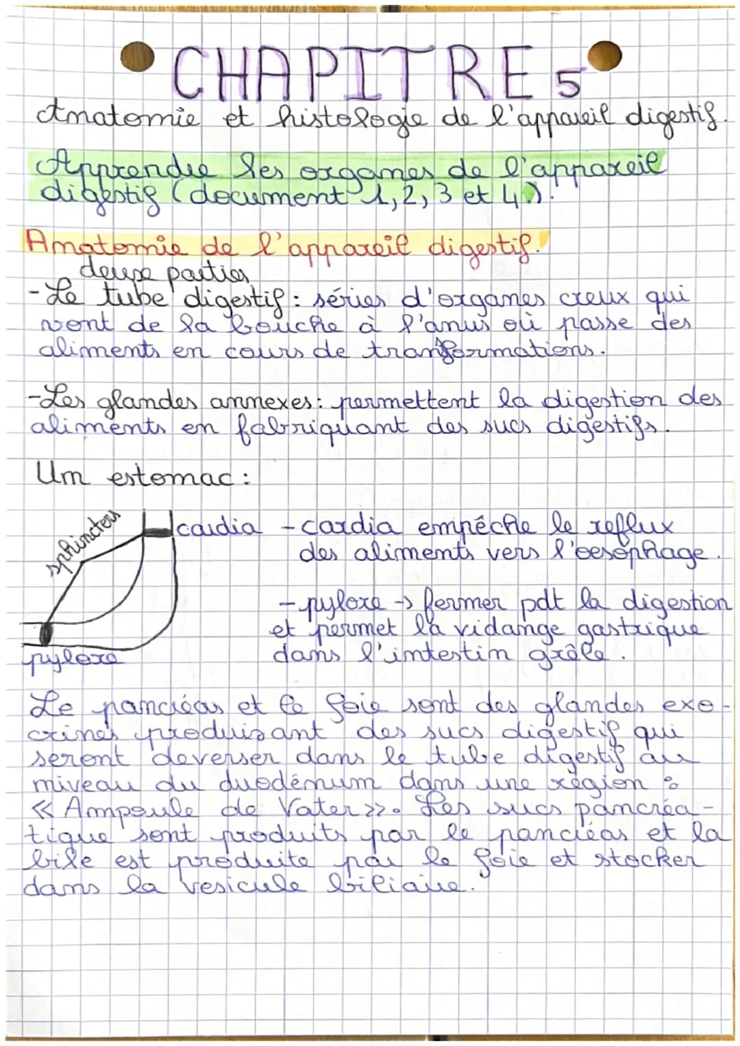 CHAPITRE 5
Anatomie et histologie de l'appareil digestif
Apprendre les organes de l'appareil
digestig (document 1, 2, 3 et 4.0
Amatomie de l