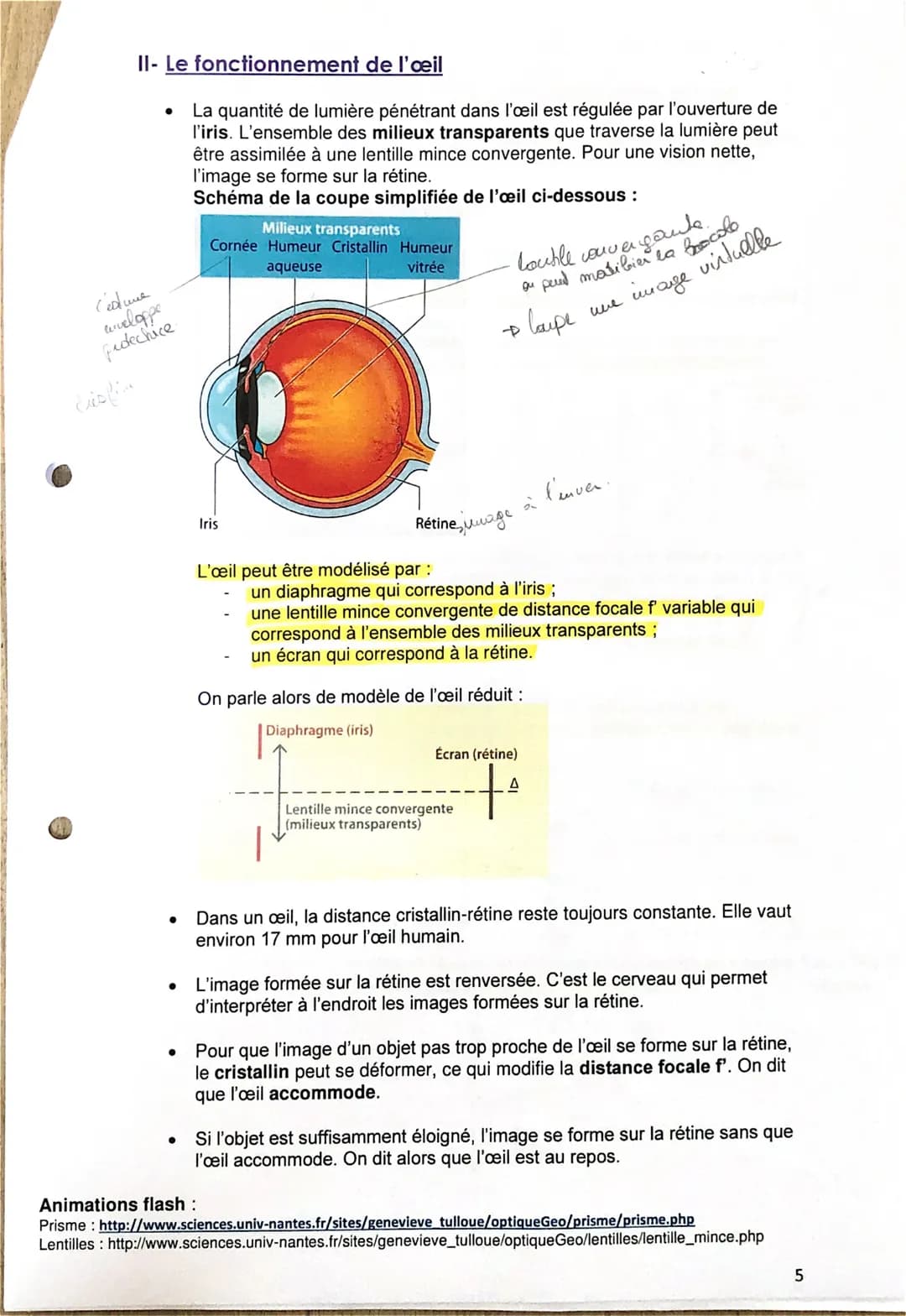 Thématique 3 Ondes et signaux
Chapitre 3 Les lentilles minces convergentes et l'œil
Les lentilles sont présentes dans de nombreux systèmes o