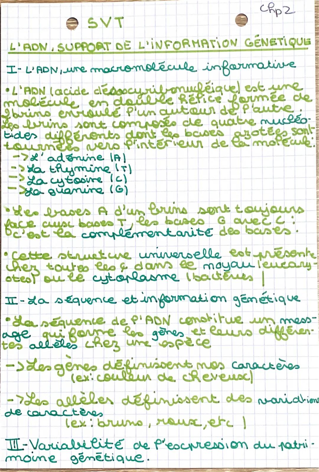 # SVT
Chp2

L'ADN, SUPPORT DE L'INFORMATION GENETIQUE

I- L'ADN, une macromolécule informative

•L'ADN (acide desoxyribonucleiquel est une
l