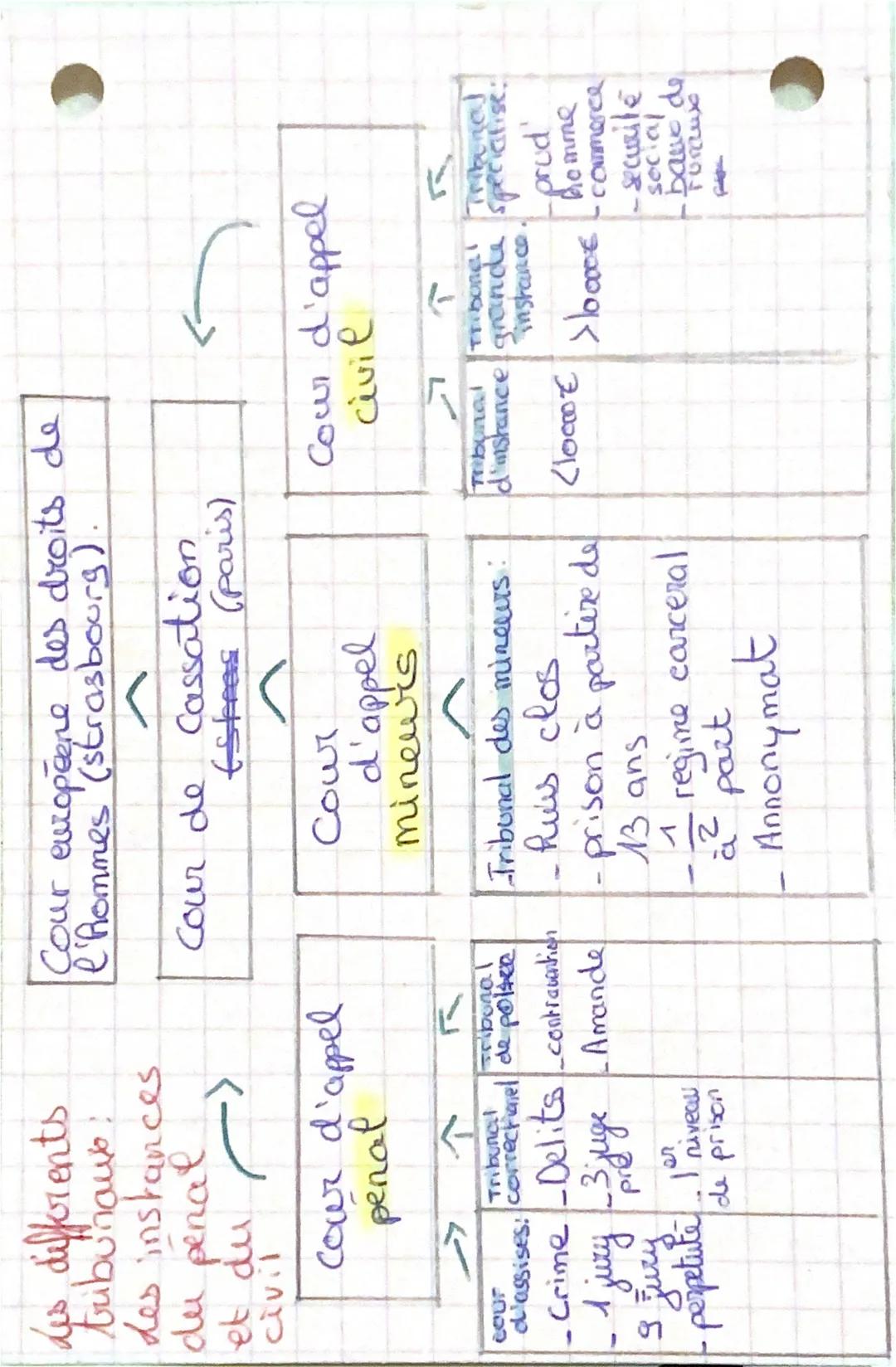 Les differents
tribunaux:
des instances
du penal
et du
civil
Cour européene des droits de
l'hommes (strasbourg).
Cour de Cassation
(stres (p
