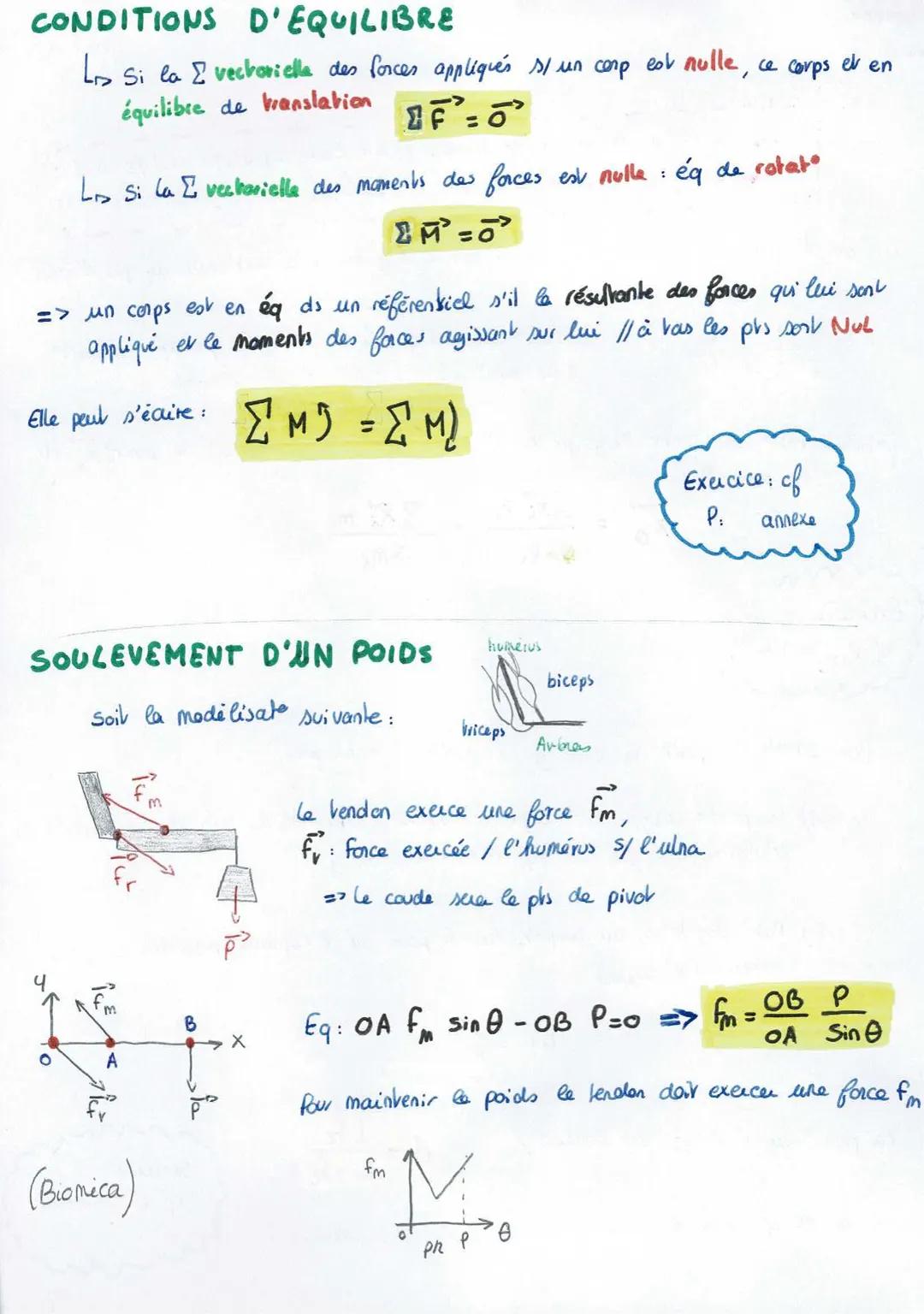 Physique
meca
STATIQUE DES FORCES
Shab des
forces
@
LES FORCES
>.verme qui désigne de manière générique l'ach qu'un corps exerce
Sur un autr