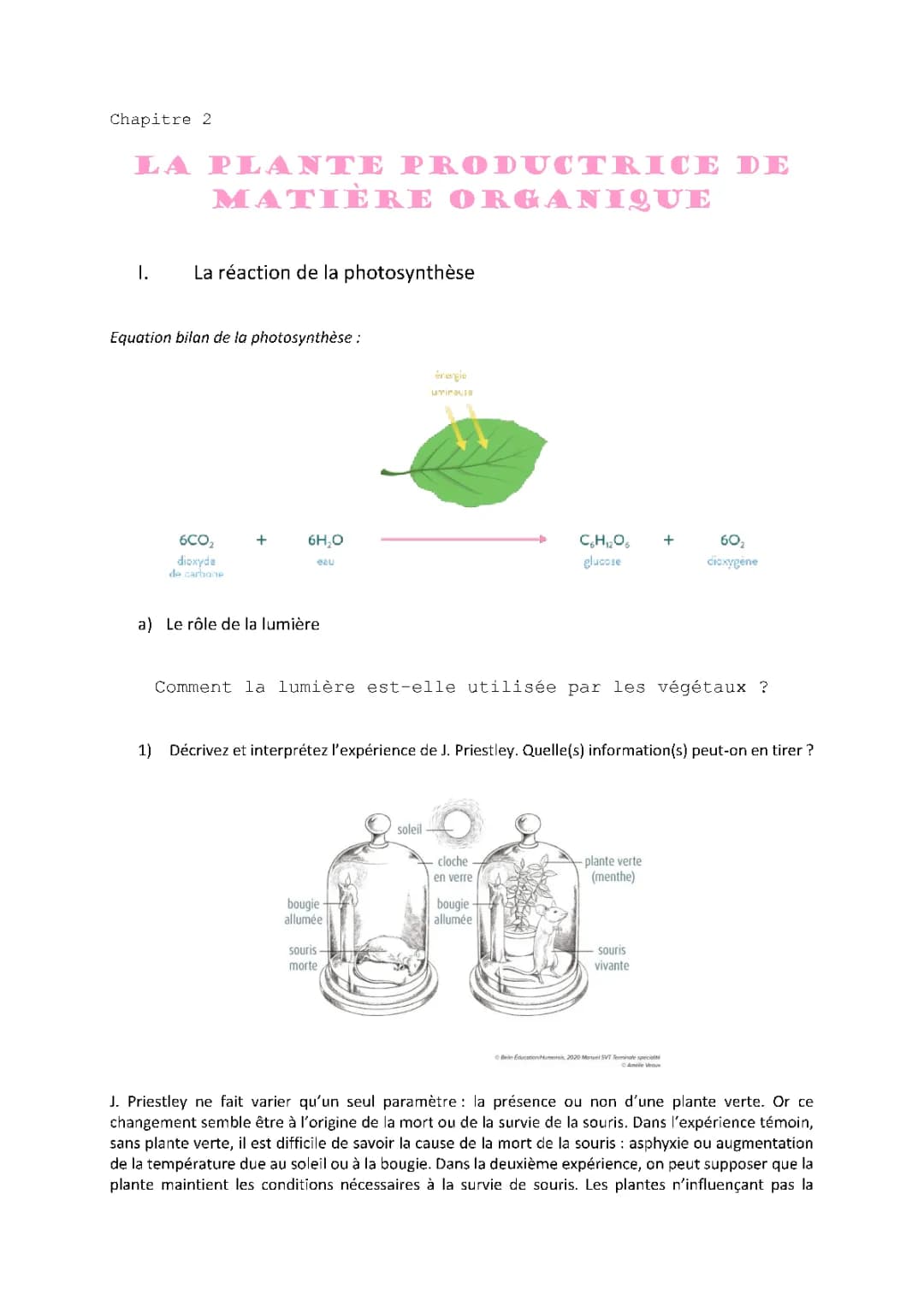 L'Importance de la Lumière pour la Photosynthèse - Schémas et Expériences