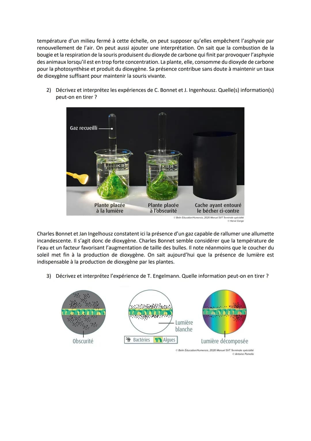 Chapitre 2
LA PLANTE PRODUCTRICE DE
MATIÈRE ORGANIQUE
I. La réaction de la photosynthèse
Equation bilan de la photosynthèse :
6CO₂
dioxyde
d