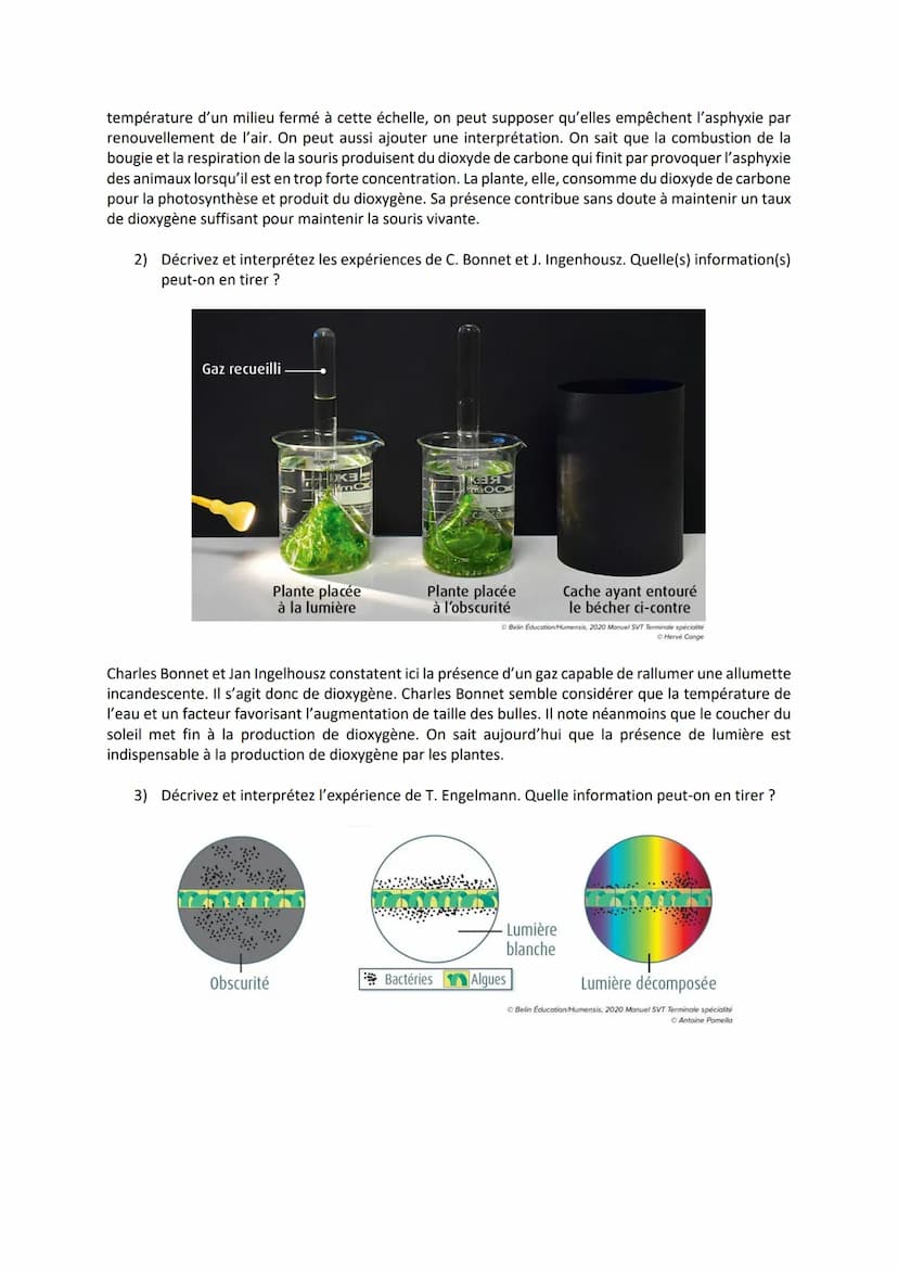 Chapitre 2
LA PLANTE PRODUCTRICE DE
MATIÈRE ORGANIQUE
I. La réaction de la photosynthèse
Equation bilan de la photosynthèse :
6CO₂
dioxyde
d