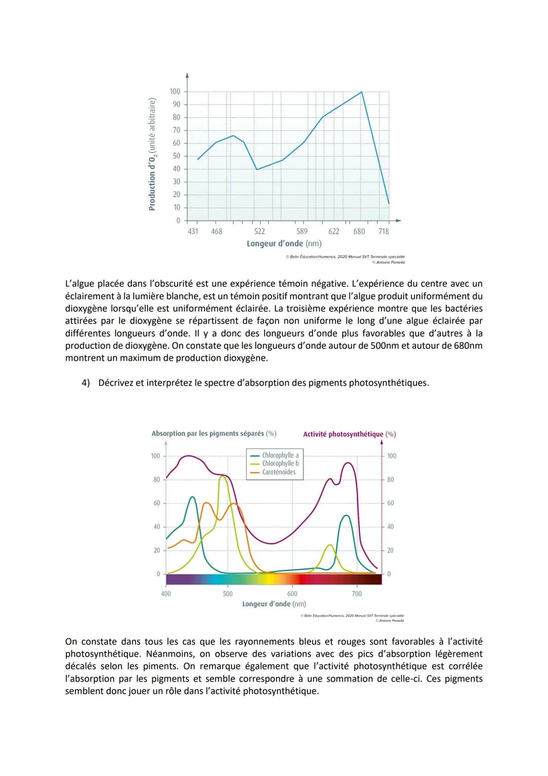 Chapitre 2
LA PLANTE PRODUCTRICE DE
MATIÈRE ORGANIQUE
I. La réaction de la photosynthèse
Equation bilan de la photosynthèse :
6CO₂
dioxyde
d