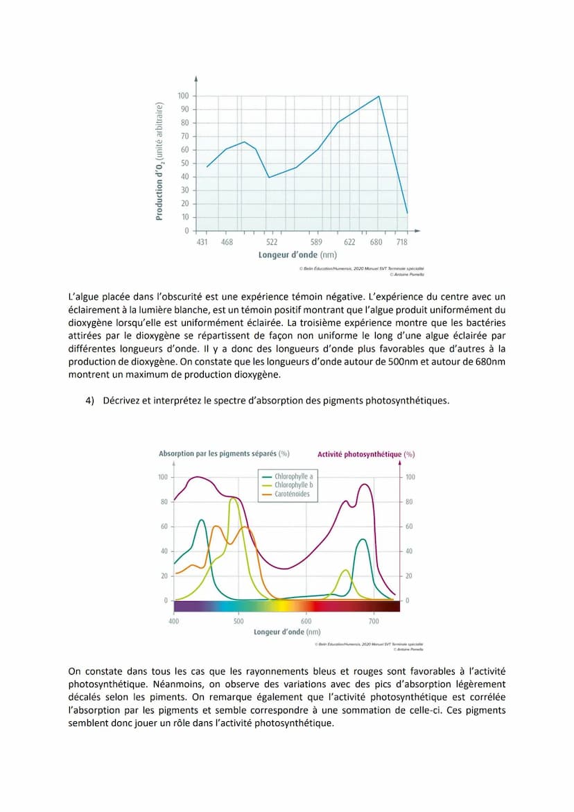 Chapitre 2
LA PLANTE PRODUCTRICE DE
MATIÈRE ORGANIQUE
I. La réaction de la photosynthèse
Equation bilan de la photosynthèse :
6CO₂
dioxyde
d