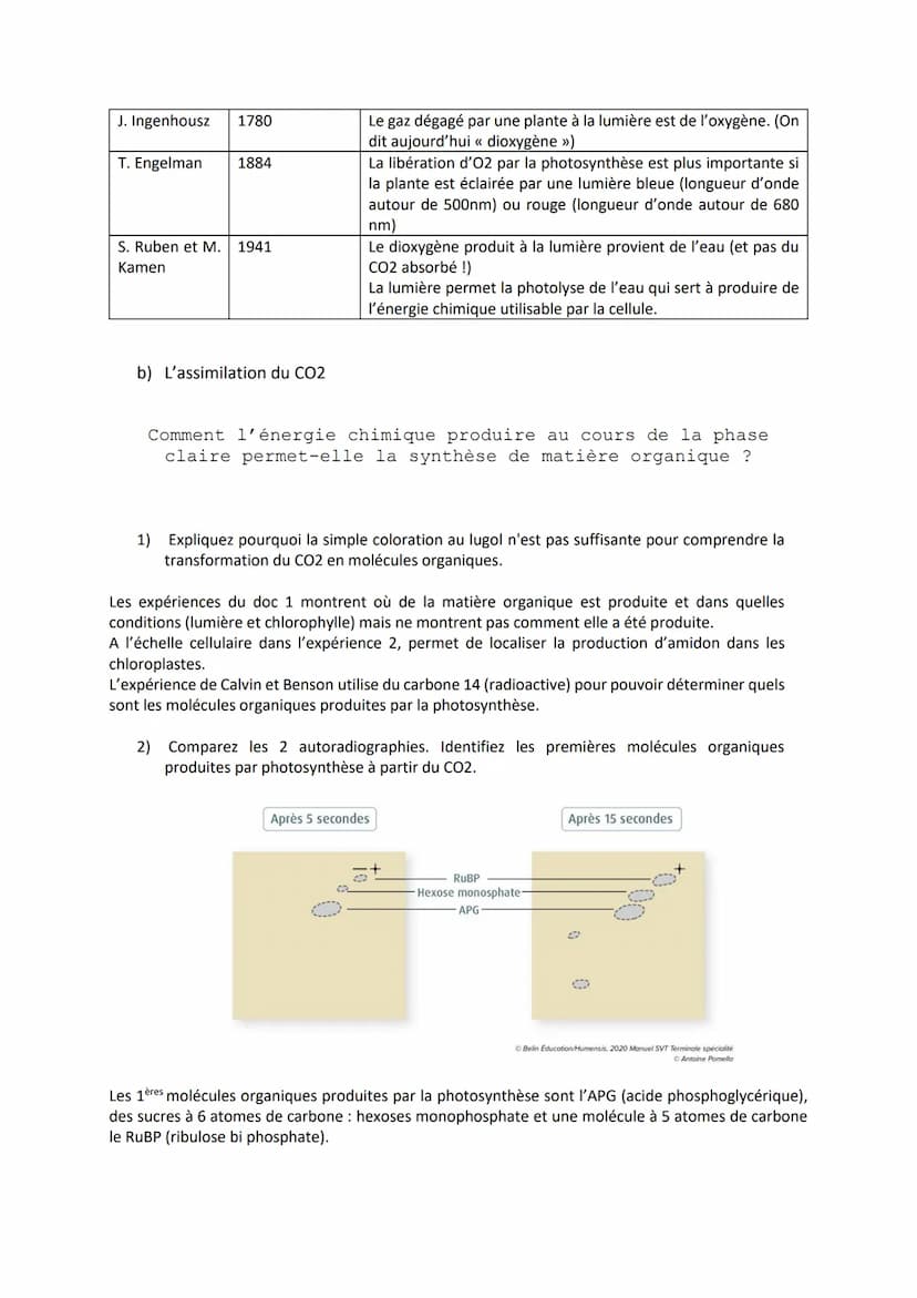 Chapitre 2
LA PLANTE PRODUCTRICE DE
MATIÈRE ORGANIQUE
I. La réaction de la photosynthèse
Equation bilan de la photosynthèse :
6CO₂
dioxyde
d