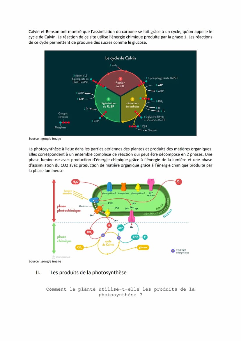 Chapitre 2
LA PLANTE PRODUCTRICE DE
MATIÈRE ORGANIQUE
I. La réaction de la photosynthèse
Equation bilan de la photosynthèse :
6CO₂
dioxyde
d