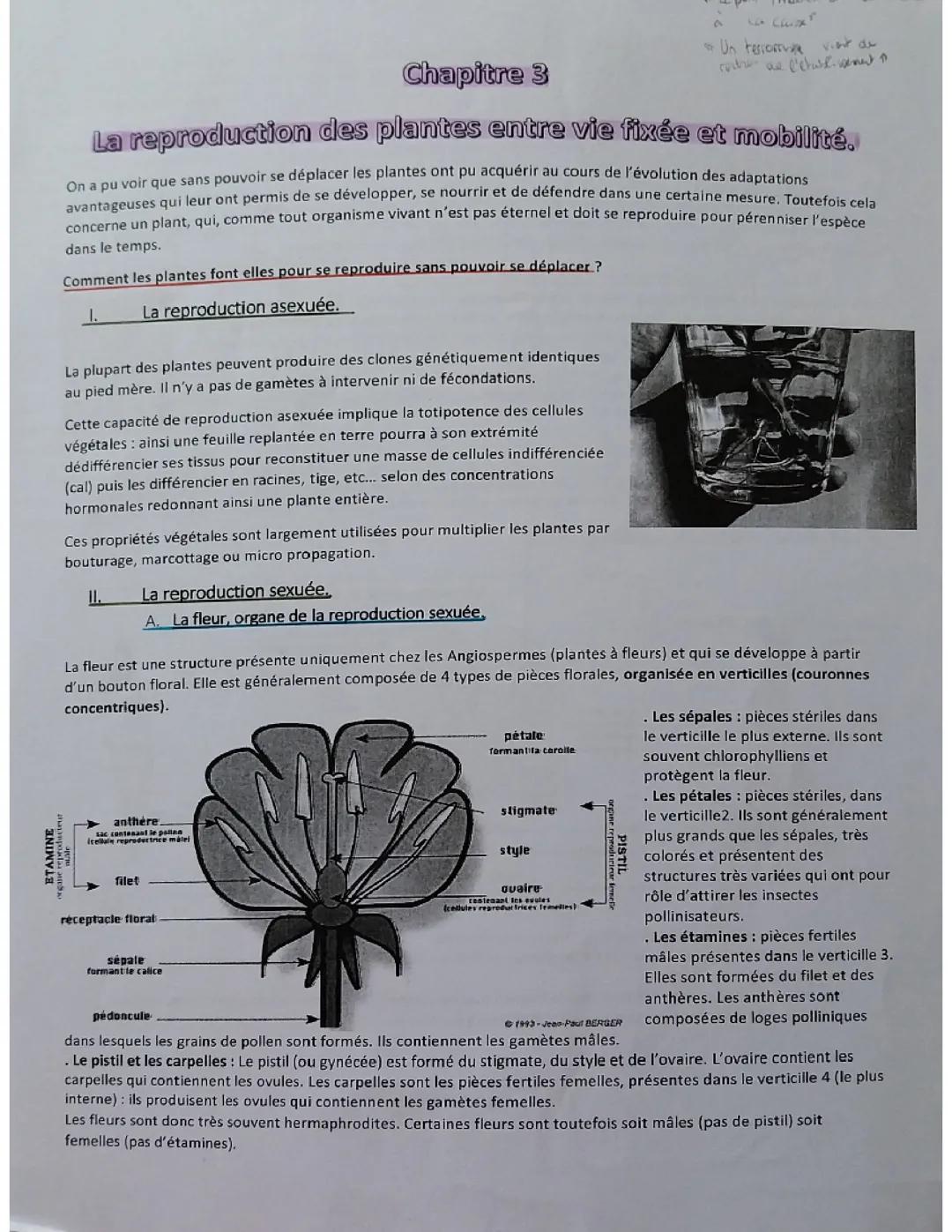 Reproduction des plantes 