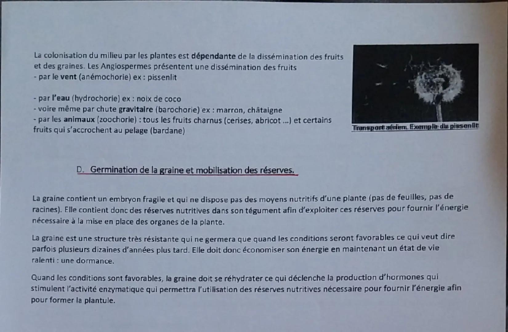 ETAMINE
Chapitre 3
8
Un terrovient de
rection as 'chase. want?
La reproduction des plantes entre vie fixée et mobilité.
On a pu voir que san