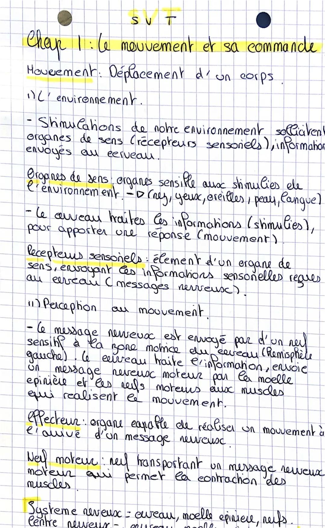 Schéma du Message Nerveux et Commande du Mouvement SVT 4ème/5ème