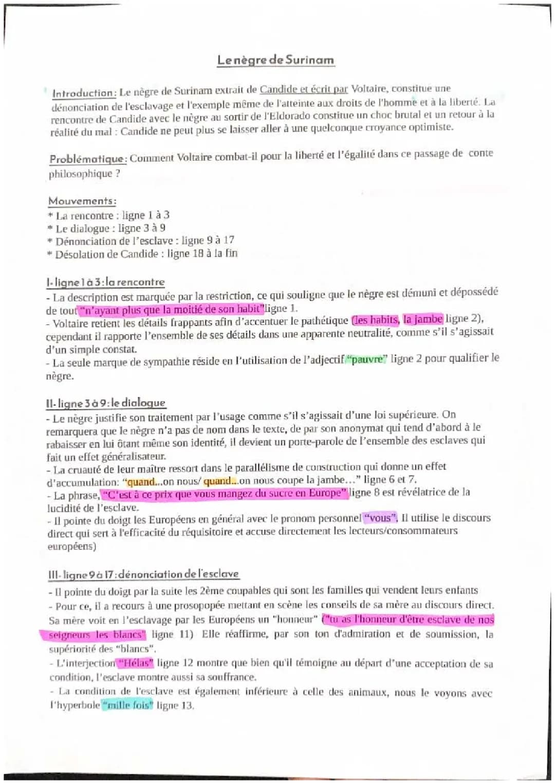Candide Chapitre 19 Analyse: Le Nègre de Surinam - Voltaire et l'Esclavage