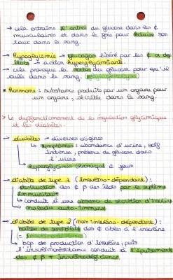 Know SVT - Le contrôle des flux de glucose thumbnail