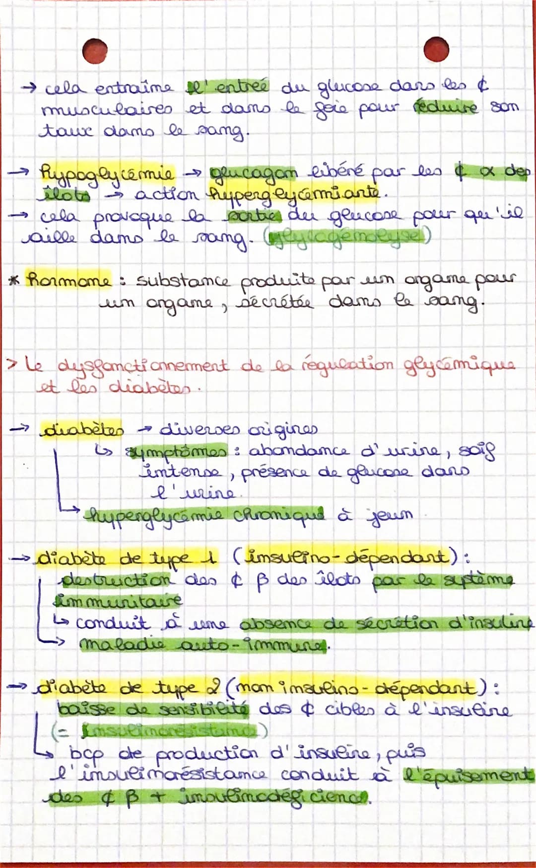 → cela entraîme Il'entrée du glucose dans les &
musculaires et dans le foie pour réduire son
tawe dans le sang.
hypoglycémie → glucagon libé