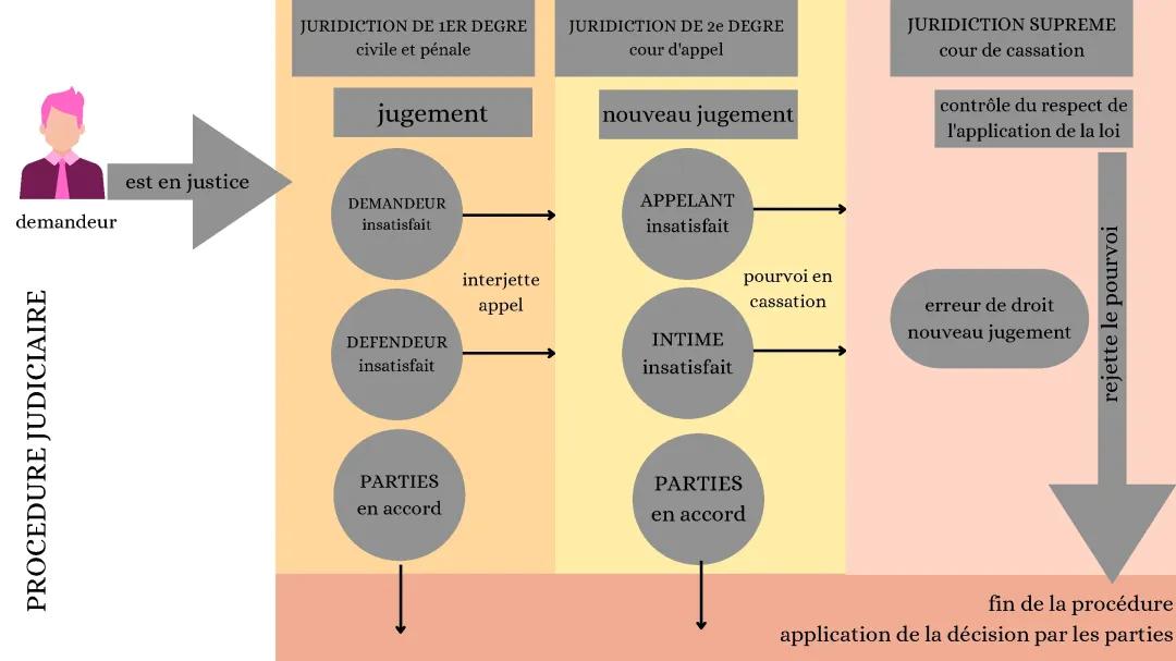 DROIT ; procédure judiciaire 