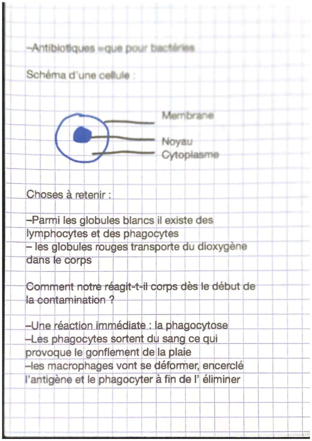 SVT
Chapitre un l'homme se défend contre les
micro-organismes
Définitions :
Contamination entrée des microbes dans le
corps
Antibiogramme: o