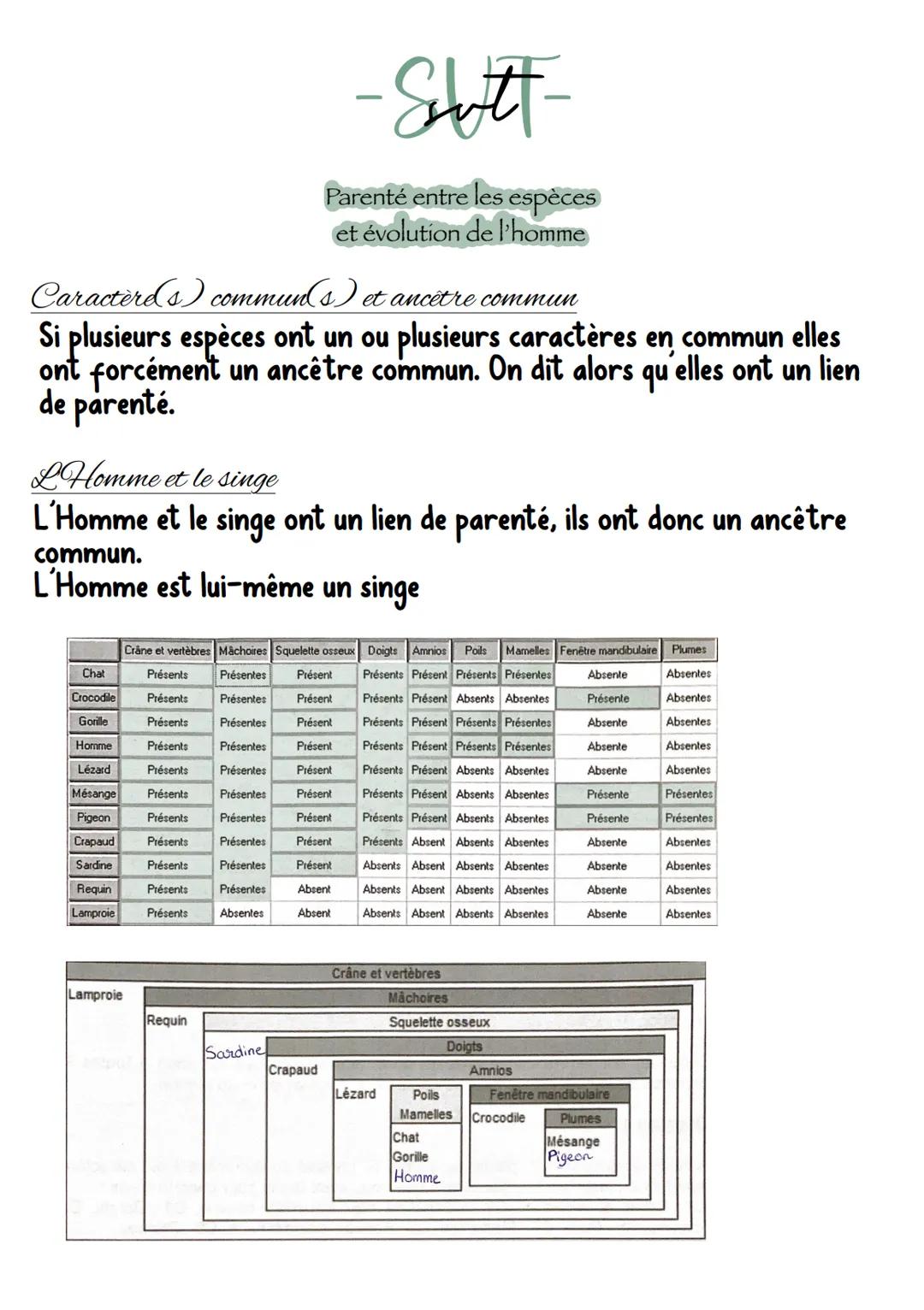 Caractères commun(s) et ancêtre commun
Si plusieurs espèces ont un ou plusieurs caractères en commun elles
ont forcément un ancêtre commun. 