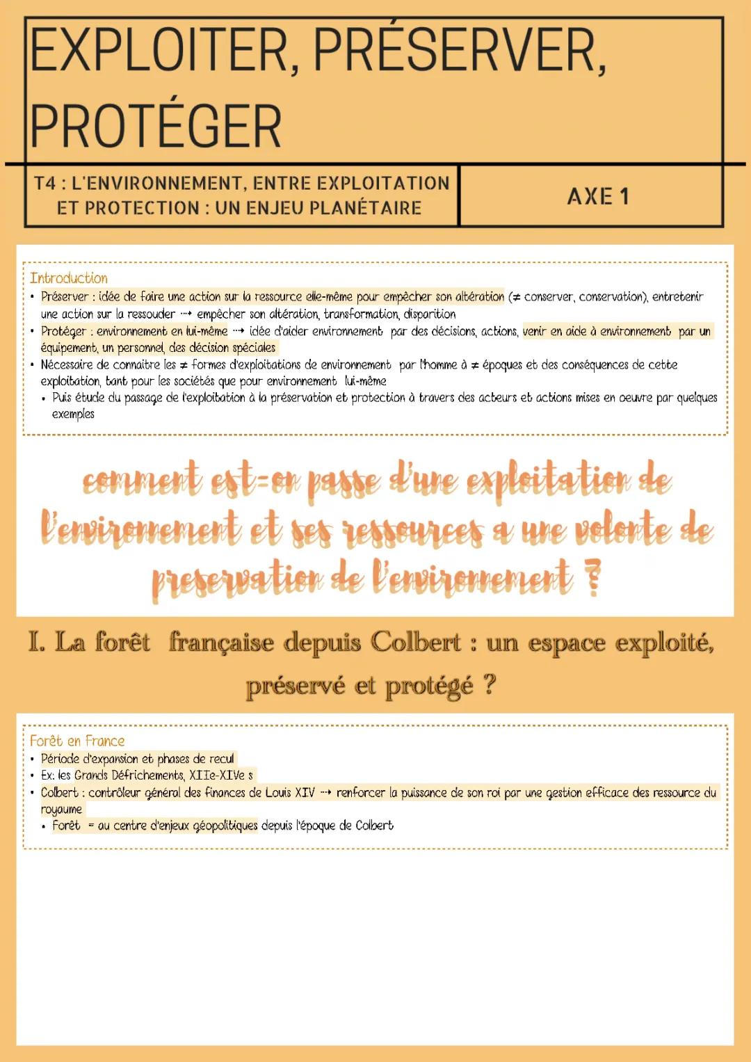 Protection de l'Environnement : Exposé et Gestes Simples