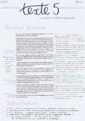Know Analyse linéaire texte 5 thumbnail