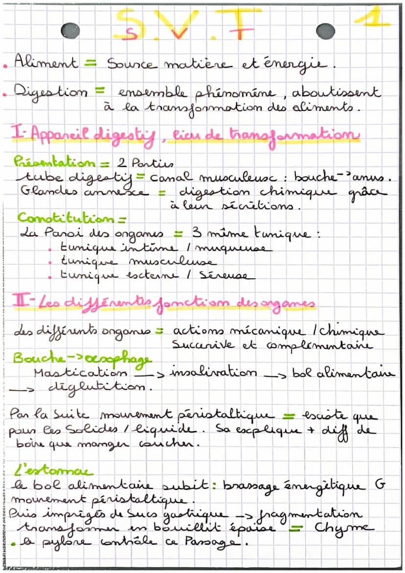 +Schemas
bol alimentare:
10
La Bile:
Visicule
biliane
intestin
Grile
S
Contracto
Masculane.
000
L'Apponiel digestif de l'homme:
Parotide
Sub