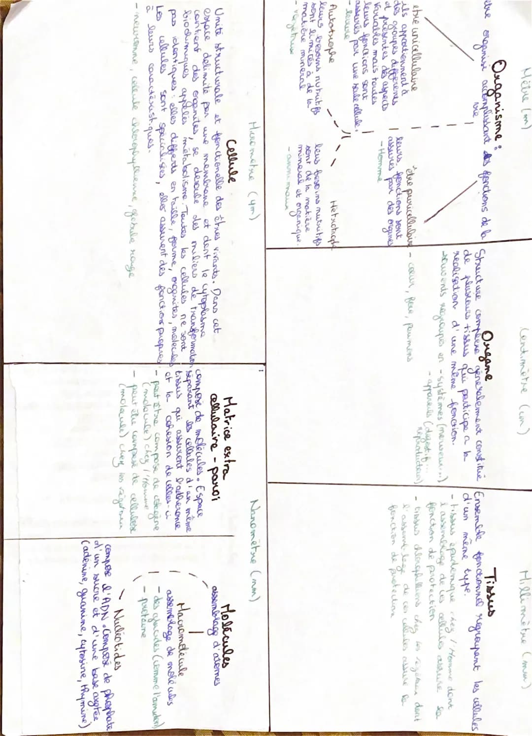 Mètre (m)
Organisme:
the organise accomplissant des fonctions de la
vie
etre unicellulaire
ils appartiennent à
des groupes differents
et pre