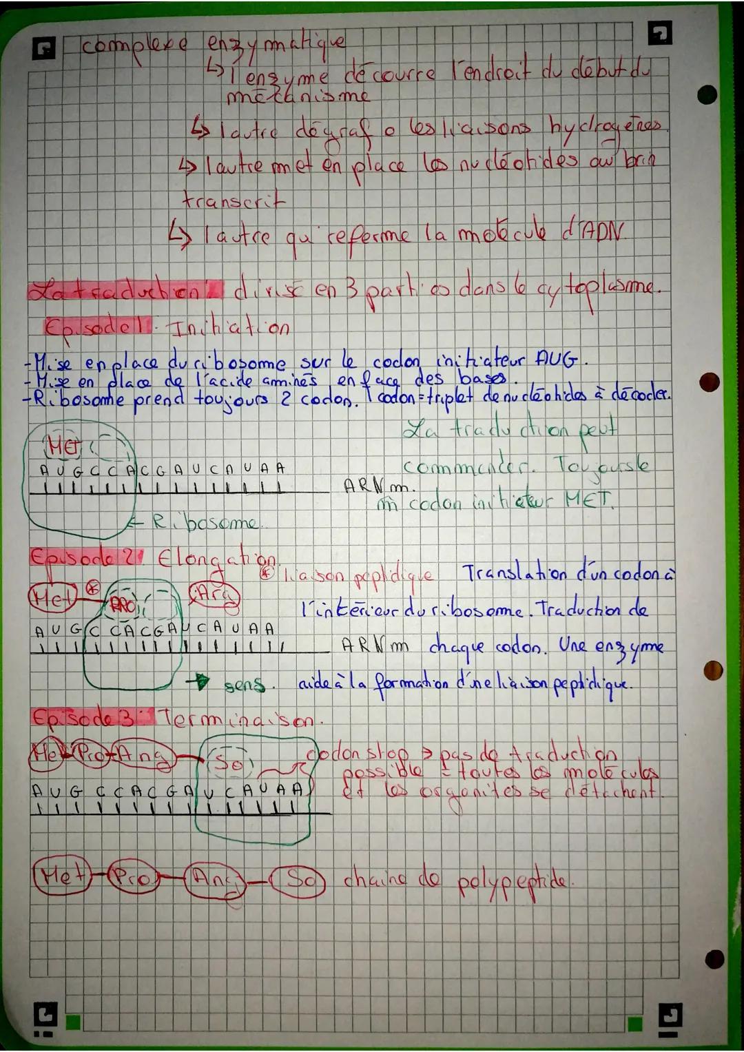 La Maturation &
et avant la traduction.
ARN
premessayer
A U U C G A C C G A UG CA AU
CGA C
C
23 les exons sont gardes
et les introns retires