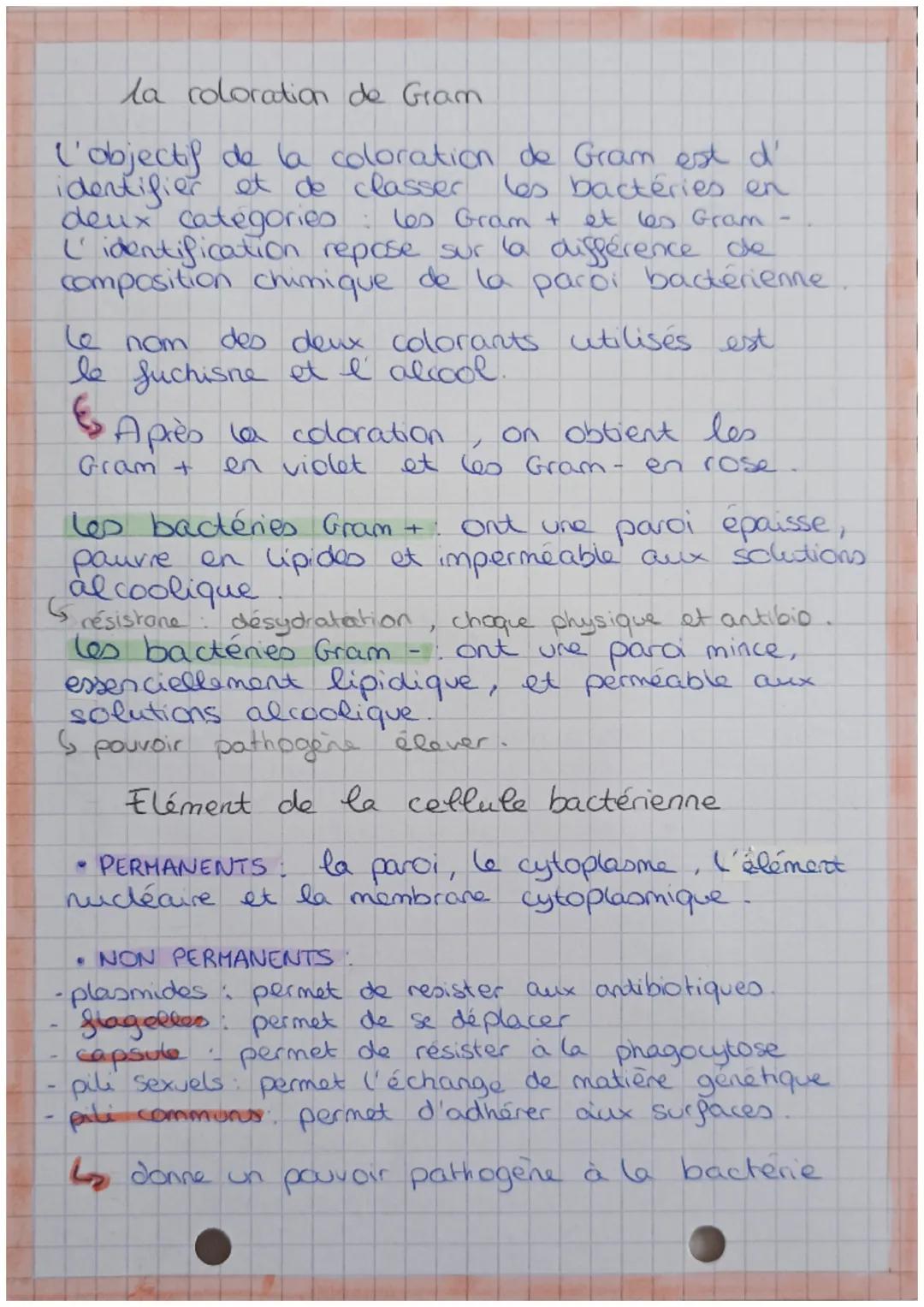 # Classification et l'
ultrastructure des bactéries.

## Taille et forme des bactéries

la taille moyenne d'une bactérie est comprise
entre 
