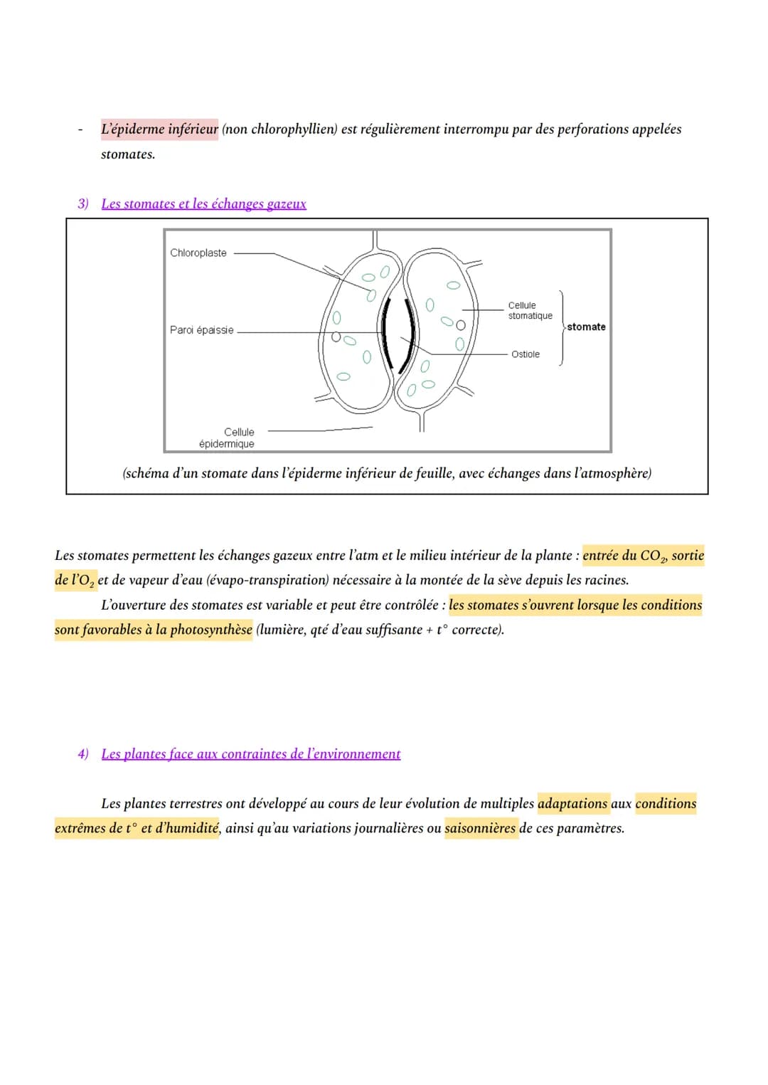 CHAPITRE 1: L'ORGANISATION FONCTIONNELLE DES PLANTES À FLEURS
INTRO: En milieu aérien, les plantes à fleurs constituent le principal groupe 