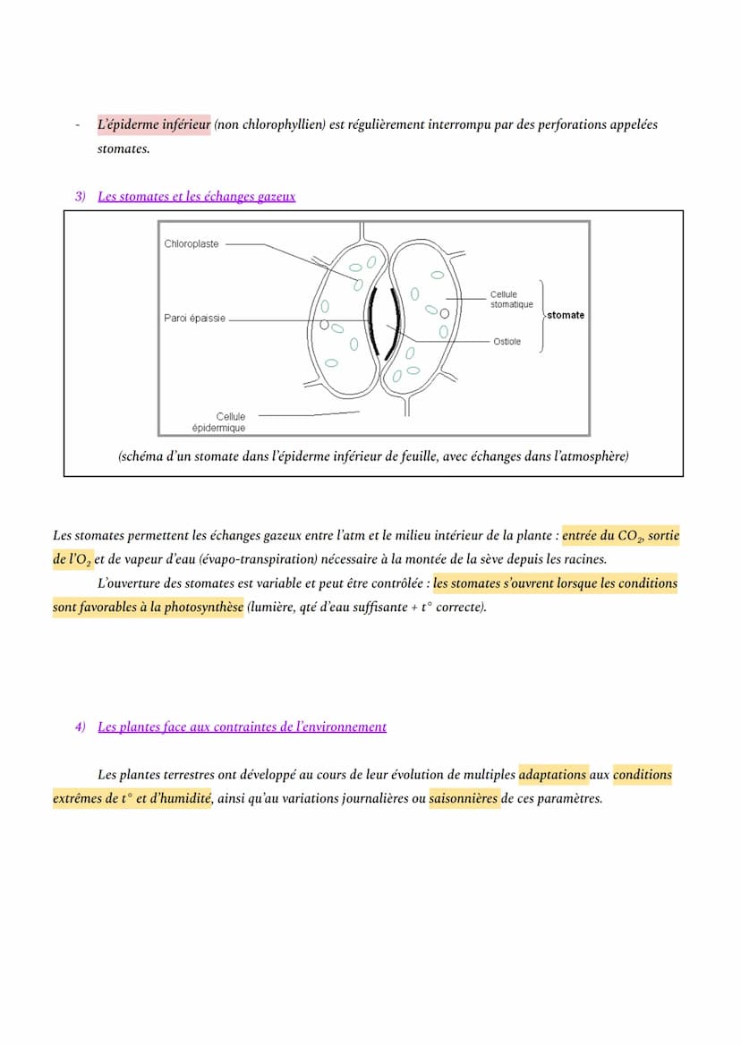 CHAPITRE 1: L'ORGANISATION FONCTIONNELLE DES PLANTES À FLEURS
INTRO: En milieu aérien, les plantes à fleurs constituent le principal groupe 