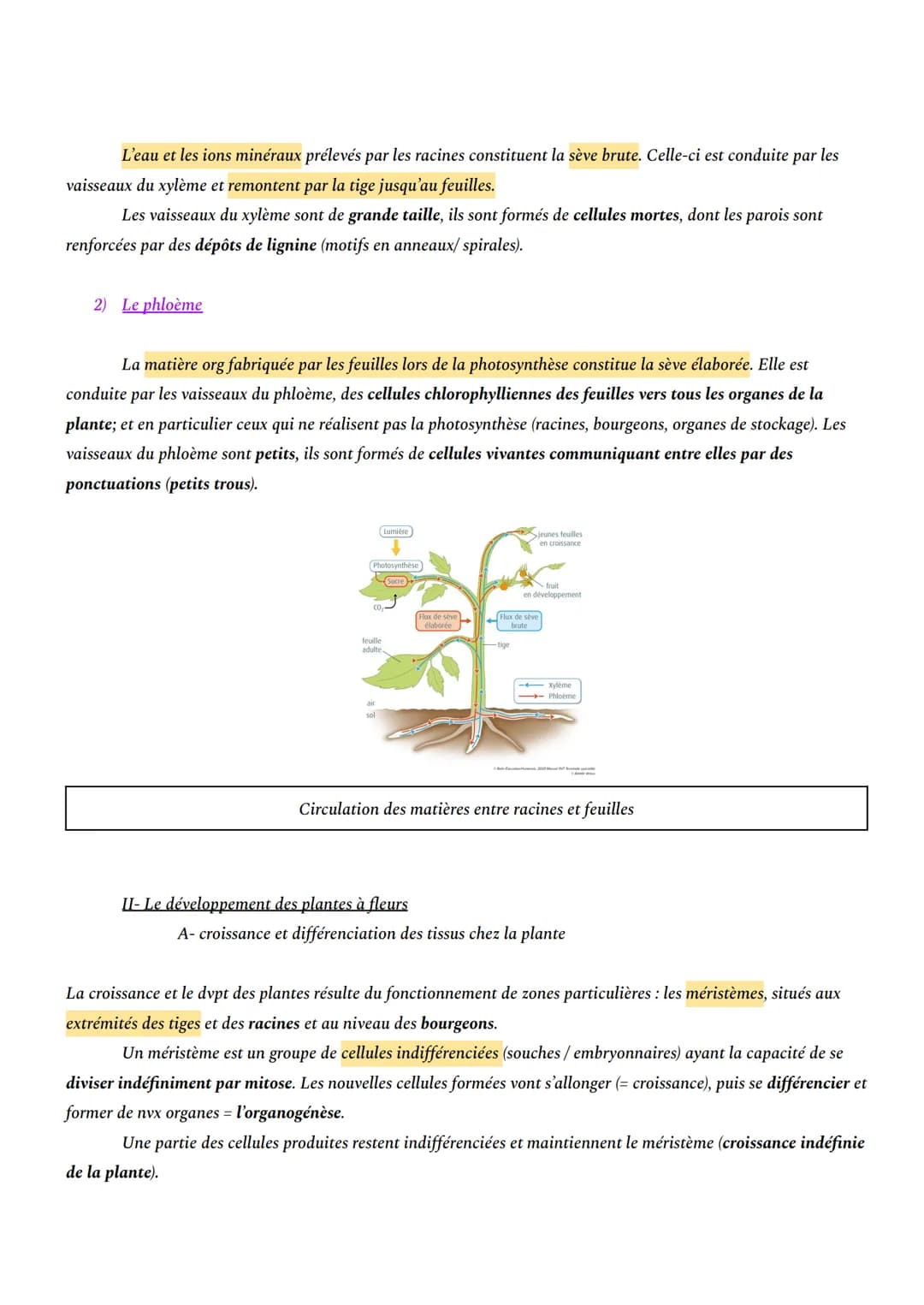 CHAPITRE 1: L'ORGANISATION FONCTIONNELLE DES PLANTES À FLEURS
INTRO: En milieu aérien, les plantes à fleurs constituent le principal groupe 