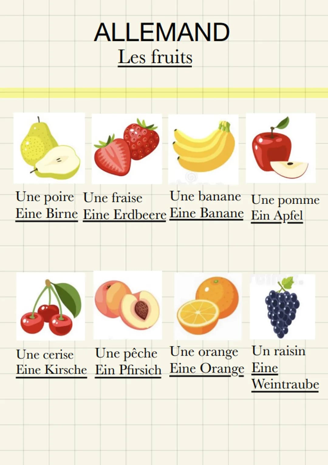 ALLEMAND
Les fruits
Une banane Une pomme
Une poire Une fraise
Eine Birne Eine Erdbeere Eine Banane Ein Apfel
Une cerise Une pêche Une orange
