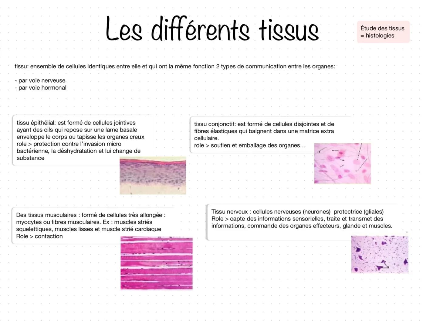 Cavité crânienne Cavité thoracique
Coeur
Poumon
Organes Encéphale
cerveau
cervelé
bulbe encéphale
Cavité crânienne:
- Former de 8 os soudé
-