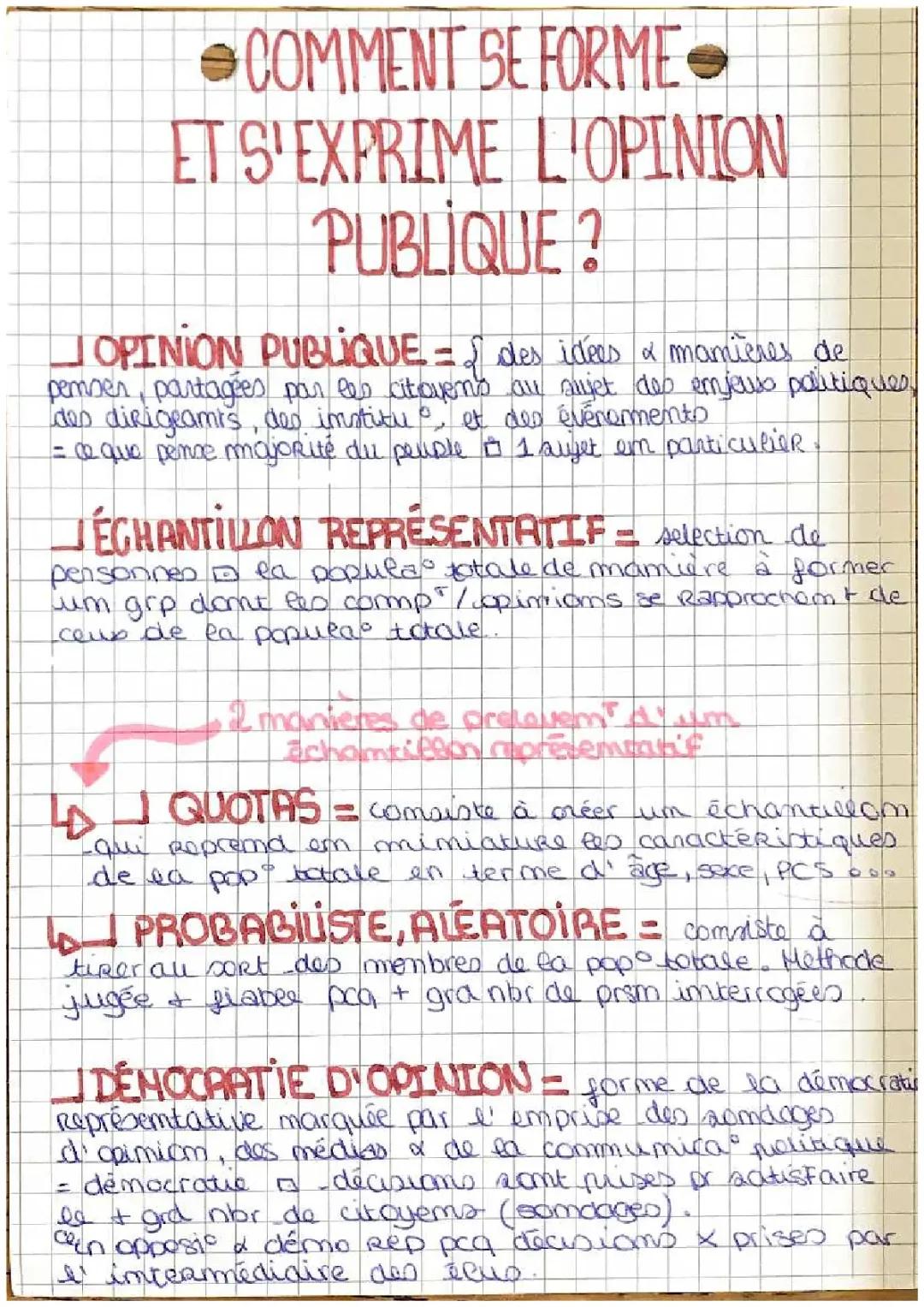 Comment les Gens Forment Leur Opinion en Démocratie