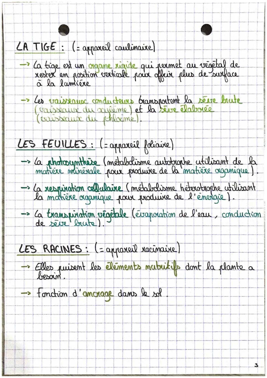 SVT •
L'aganisation fonctionelle des plantes à fleur.
C
D
0₂
Emergie
lumineuse
H₂O
CO₂
Racines
Ports absorbants
6CO,+6H,O → CHO +60,
2
Energ