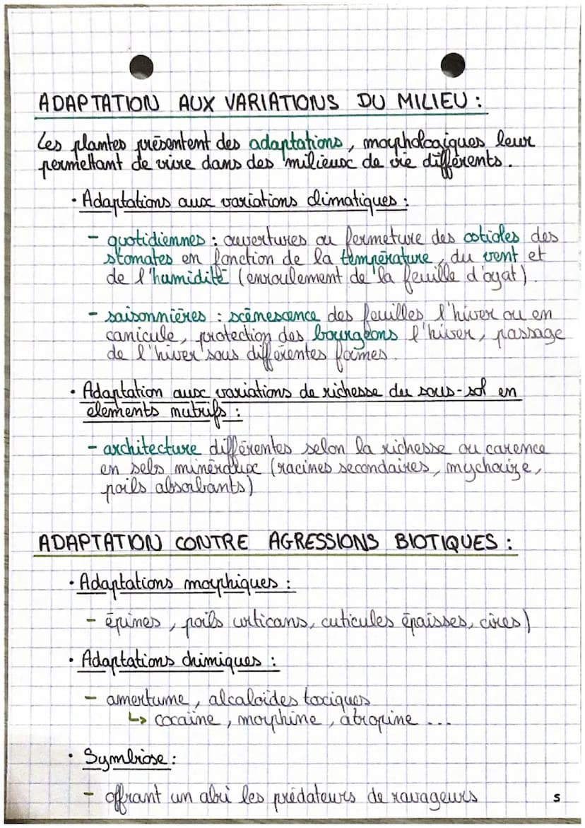 SVT •
L'aganisation fonctionelle des plantes à fleur.
C
D
0₂
Emergie
lumineuse
H₂O
CO₂
Racines
Ports absorbants
6CO,+6H,O → CHO +60,
2
Energ