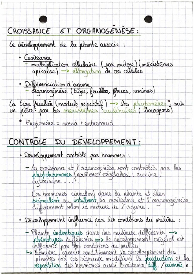 SVT •
L'aganisation fonctionelle des plantes à fleur.
C
D
0₂
Emergie
lumineuse
H₂O
CO₂
Racines
Ports absorbants
6CO,+6H,O → CHO +60,
2
Energ