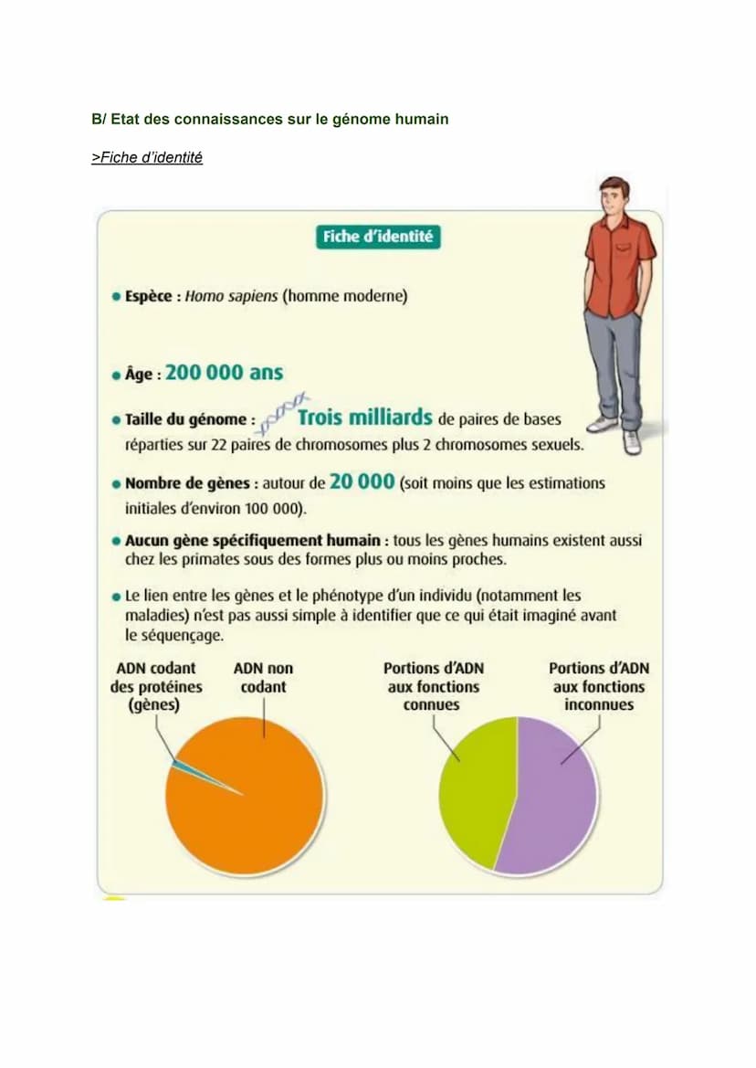 SVT Fiche de révision
Chapitre 3: L'histoire humaine lue dans son génome
>Définitions:
000
génome ensemble des chromosomes et gènes
☐ gène :