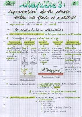 Know SVT Reproduction de la plante entre vie fixée et mobilité thumbnail