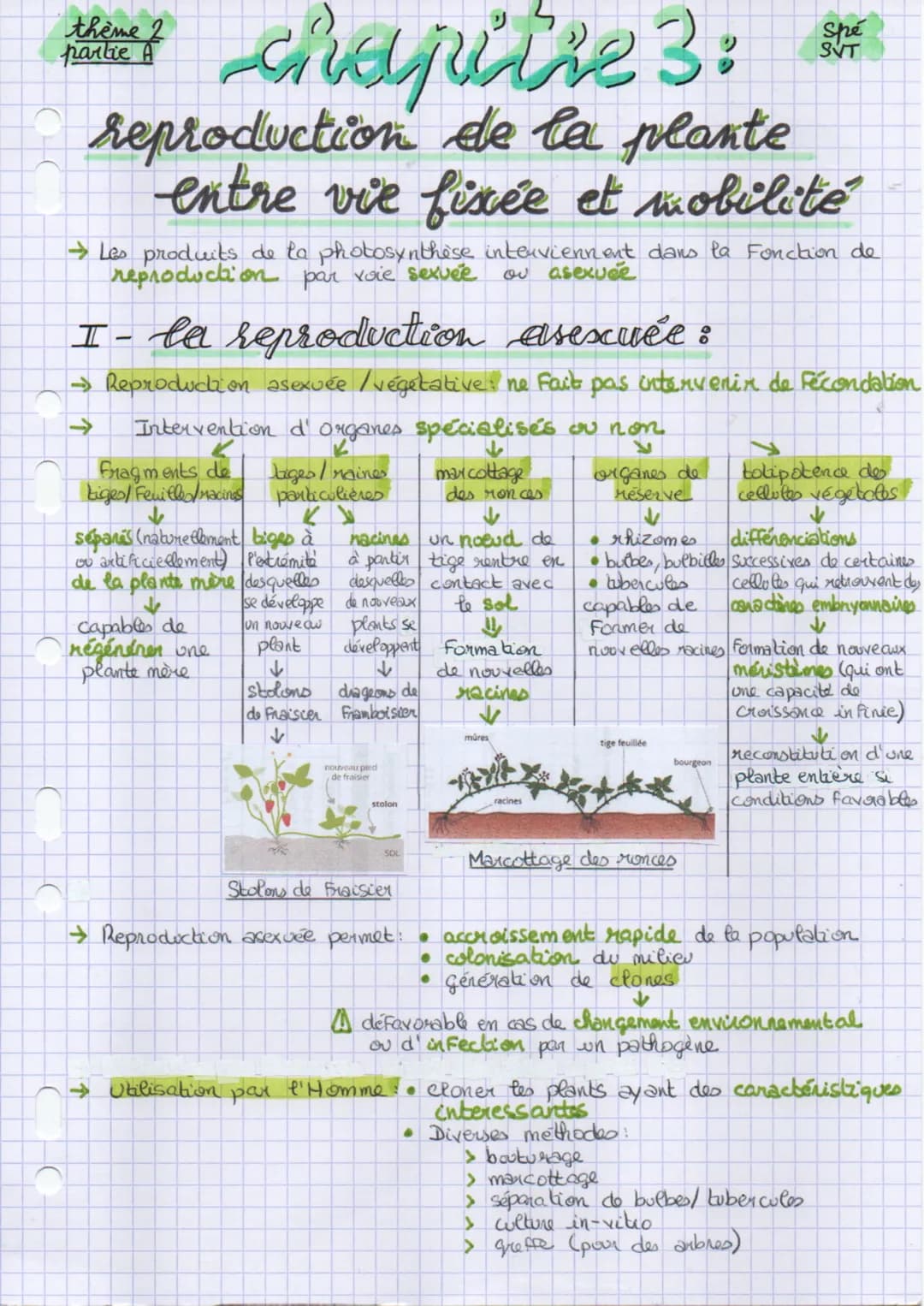 the chapitre 3:
thème 2
parlie A
reproduction de la plante
entre vie fixée et mobilité
→ Les produits de la photosynthèse interviennent dans