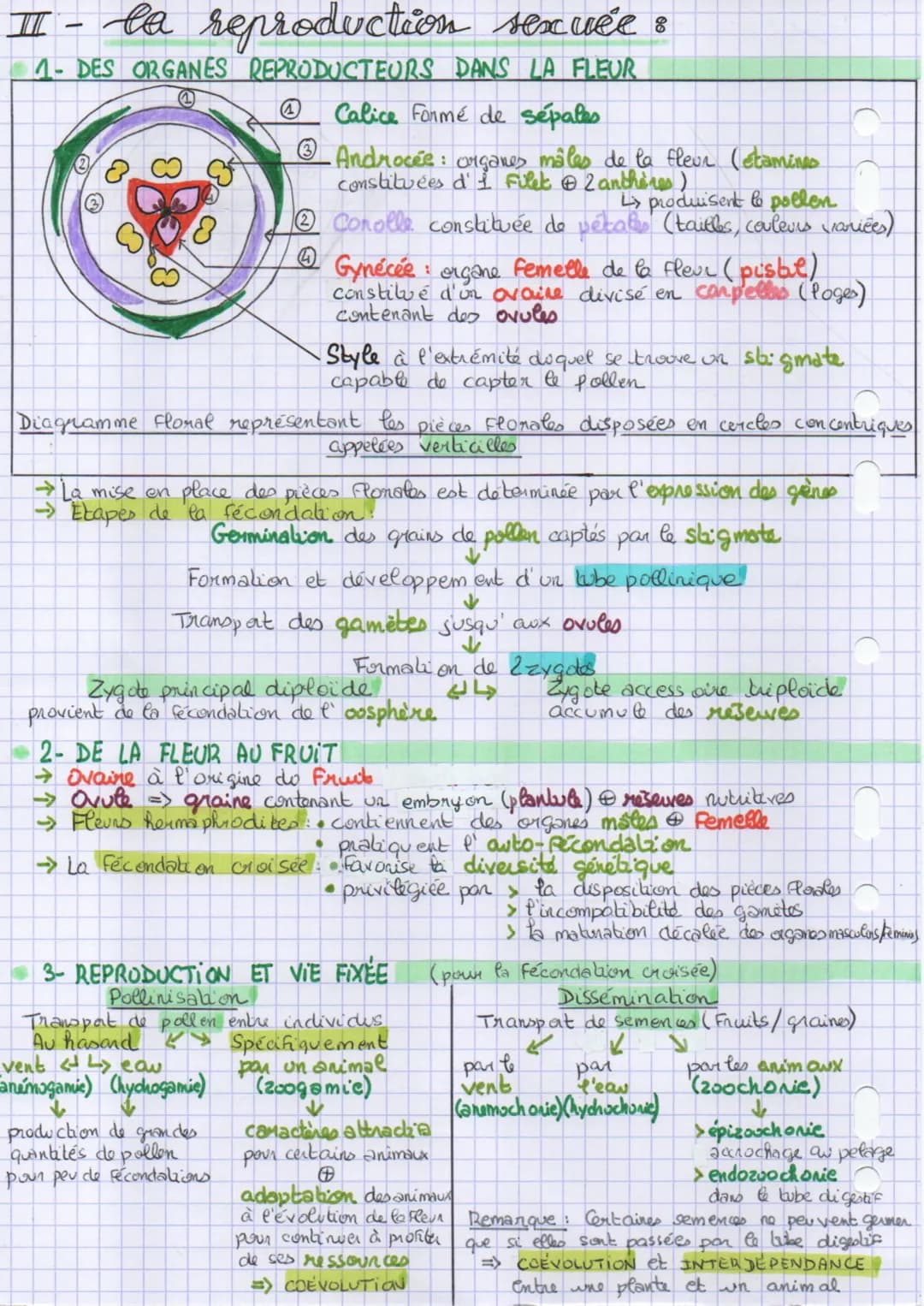 the chapitre 3:
thème 2
parlie A
reproduction de la plante
entre vie fixée et mobilité
→ Les produits de la photosynthèse interviennent dans